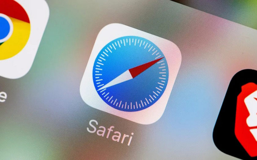 safari