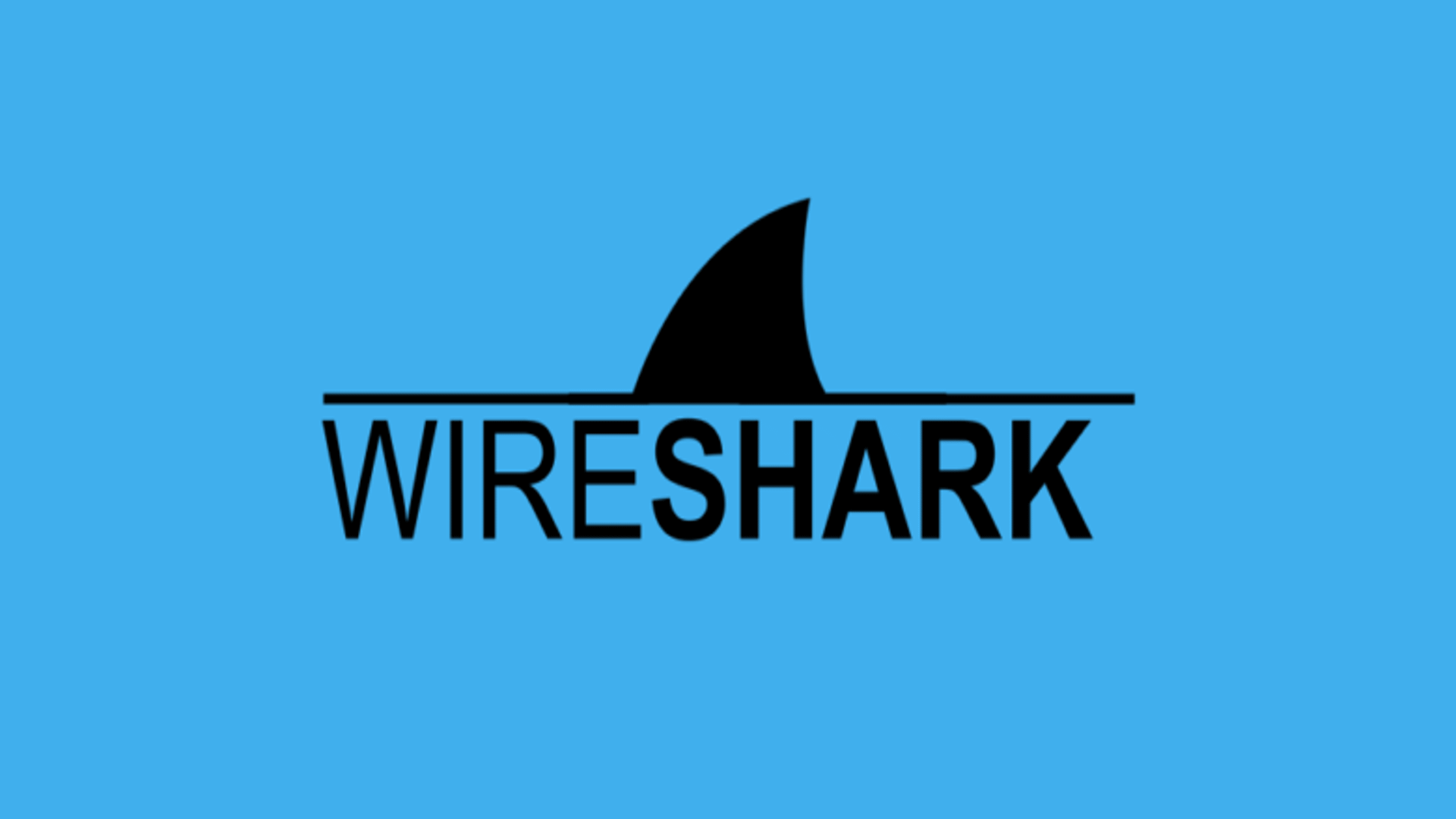 wireshark_vuln